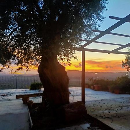 Il Colle Degli Ulivi Hotel San Calogero Buitenkant foto