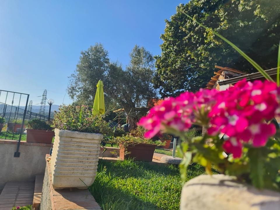 Il Colle Degli Ulivi Hotel San Calogero Buitenkant foto