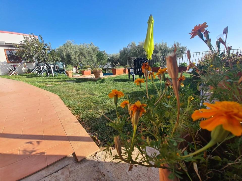Il Colle Degli Ulivi Hotel San Calogero Buitenkant foto