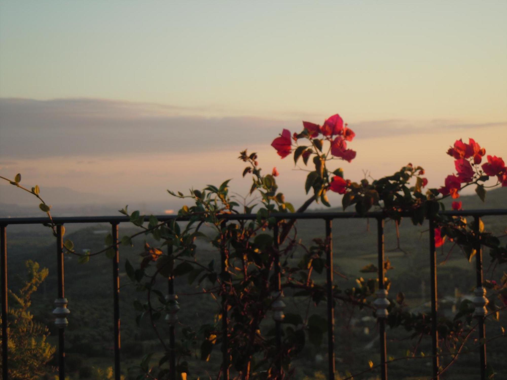 Il Colle Degli Ulivi Hotel San Calogero Buitenkant foto