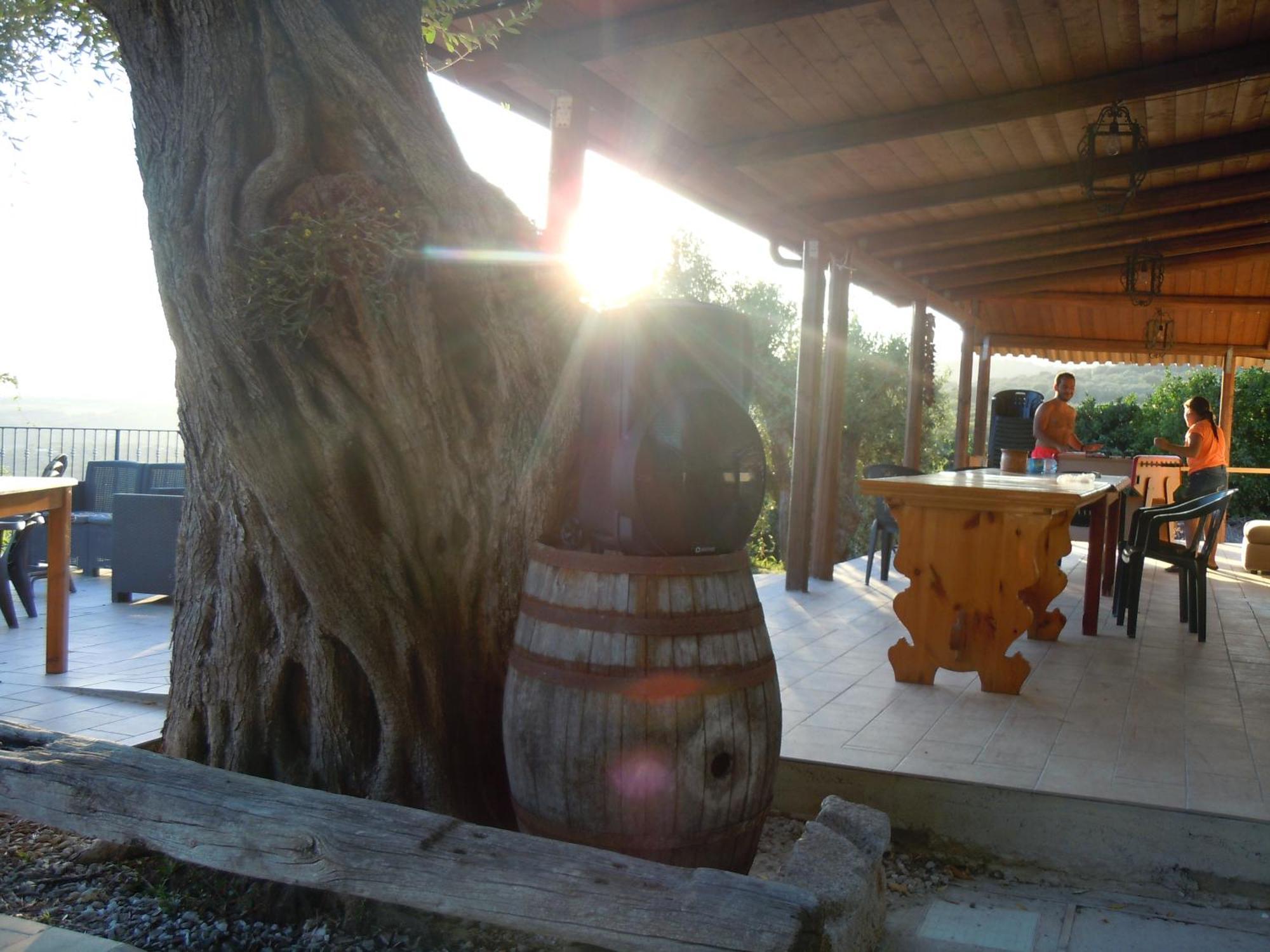 Il Colle Degli Ulivi Hotel San Calogero Buitenkant foto