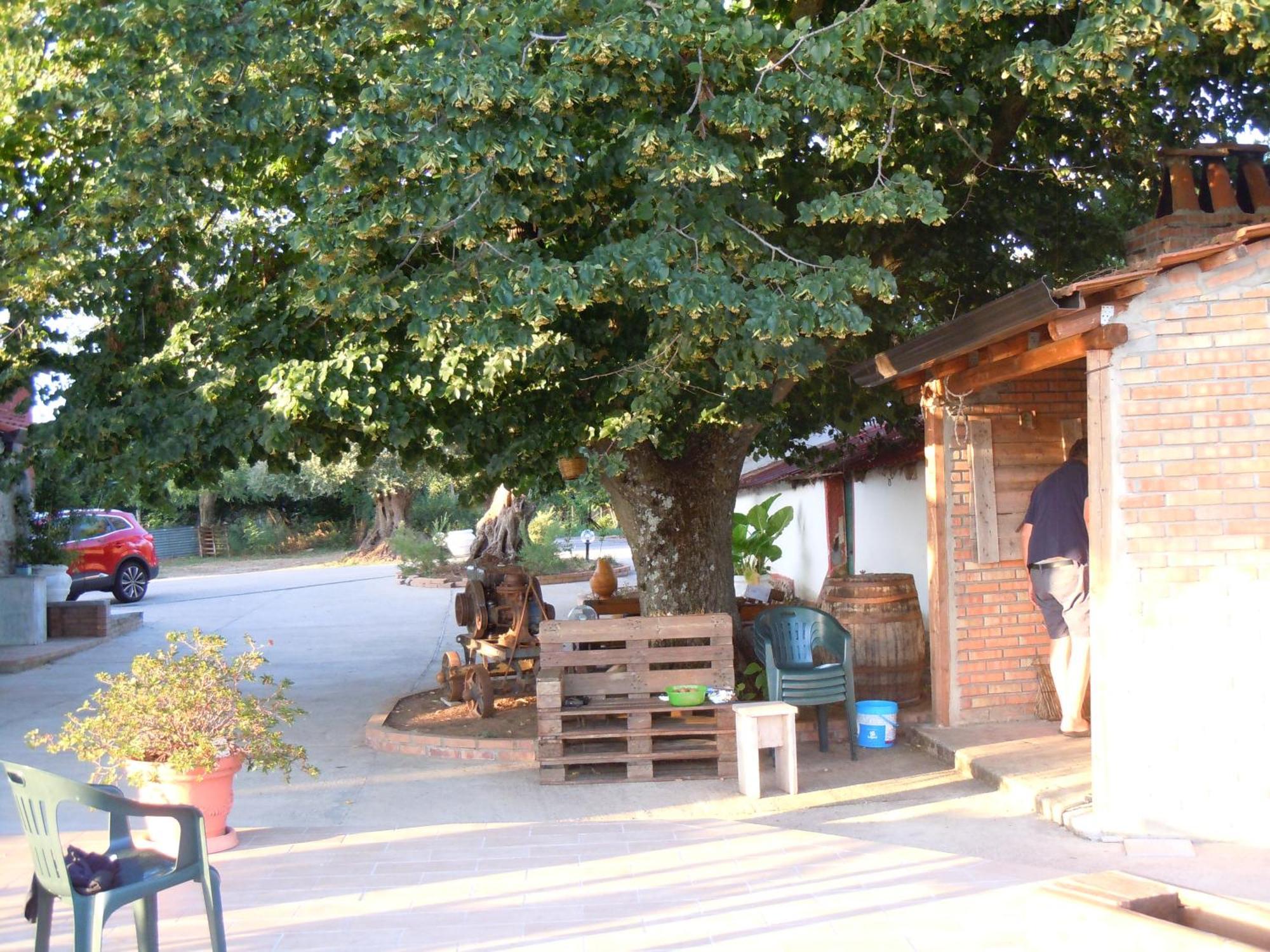 Il Colle Degli Ulivi Hotel San Calogero Buitenkant foto