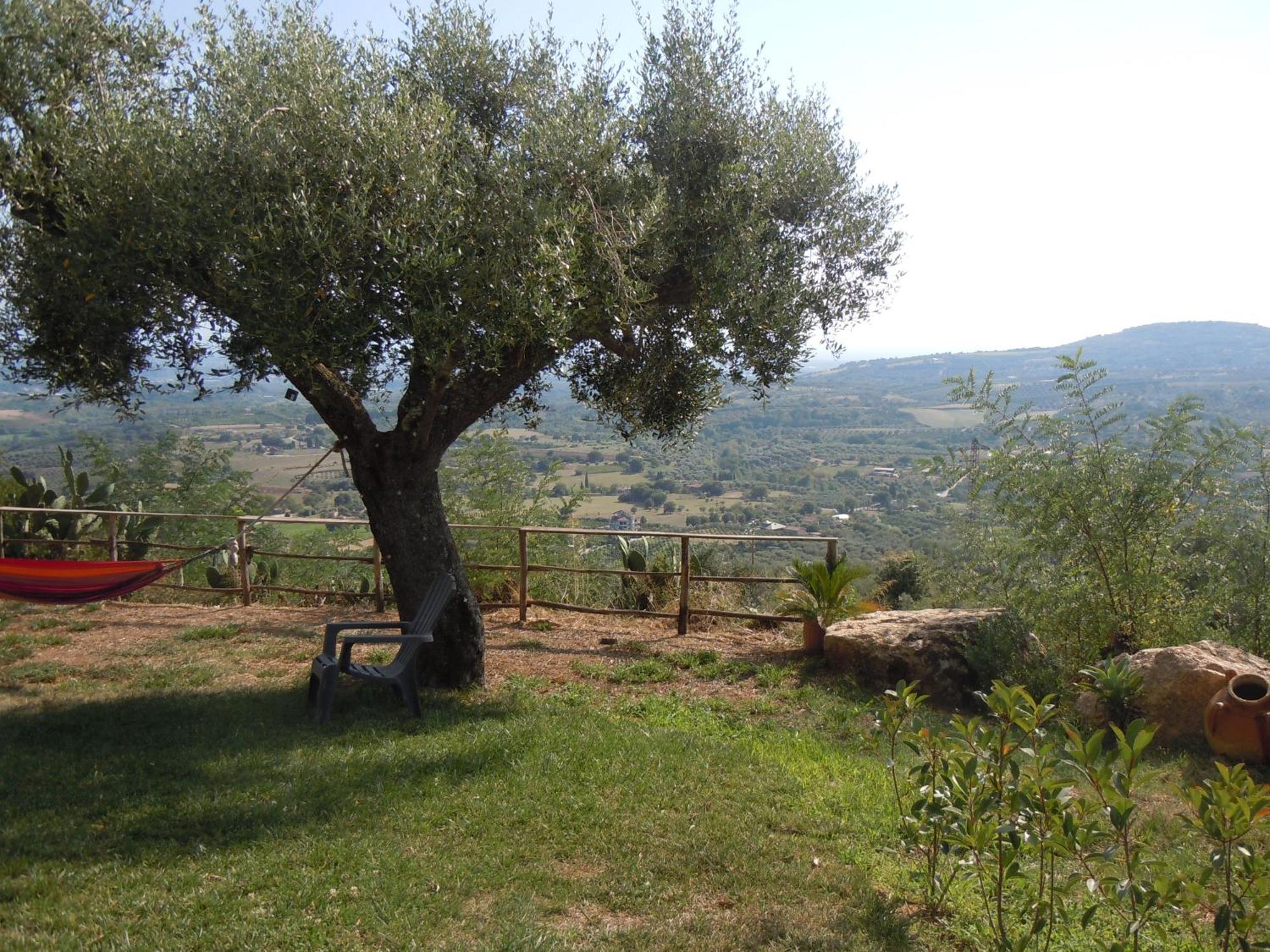 Il Colle Degli Ulivi Hotel San Calogero Buitenkant foto