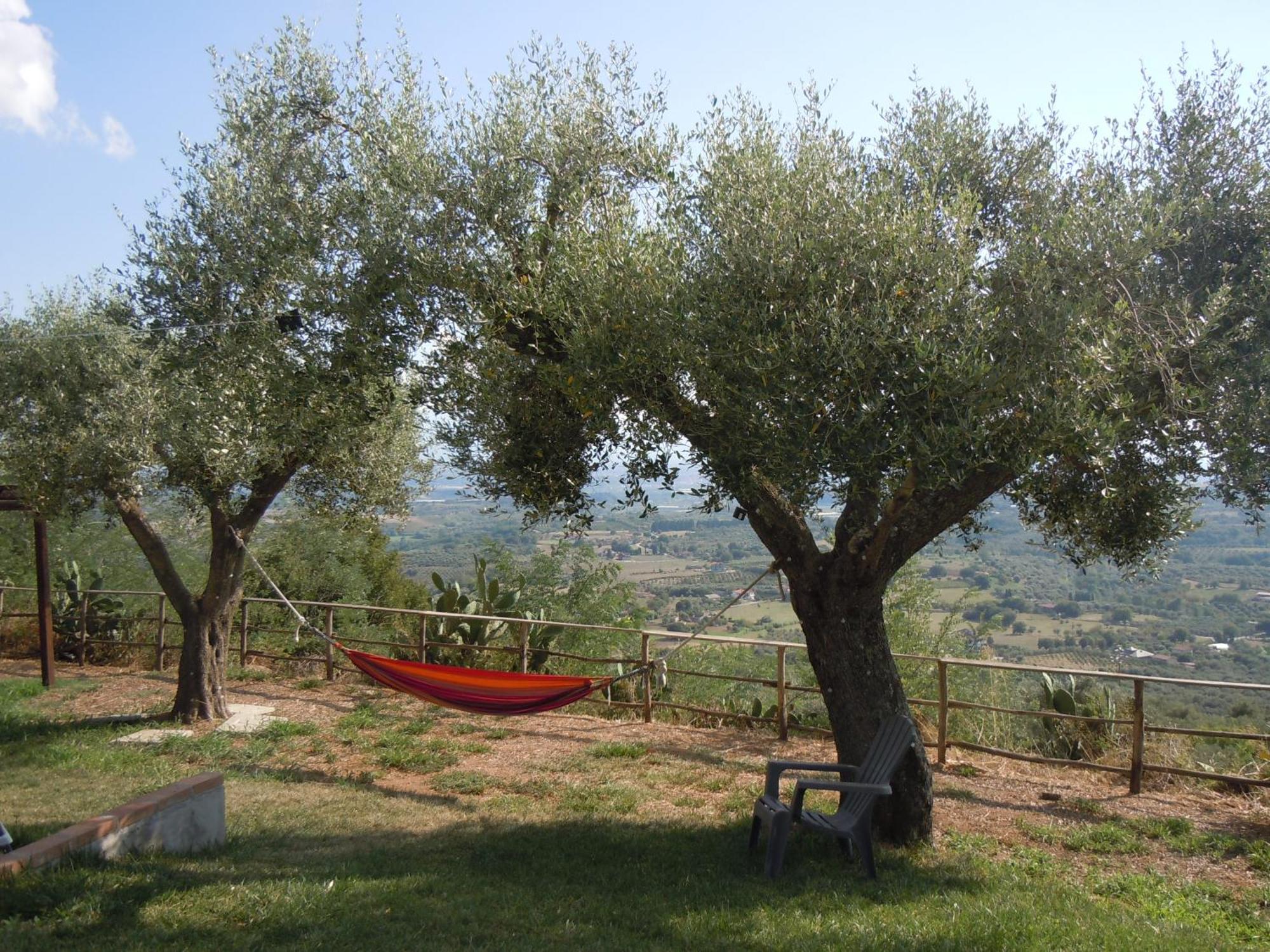 Il Colle Degli Ulivi Hotel San Calogero Buitenkant foto